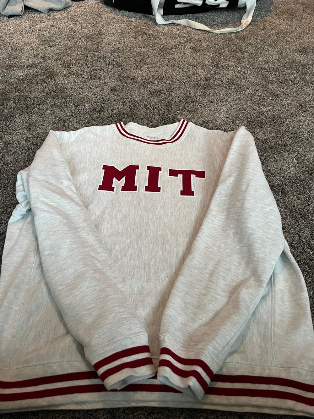 Champion Crewneck Sweatshirt in Light Gray with Red MIT Lettering. Large. - Picture 4 of 12